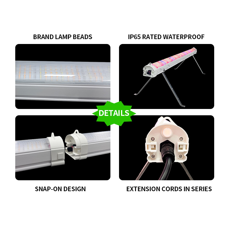 LED Light View