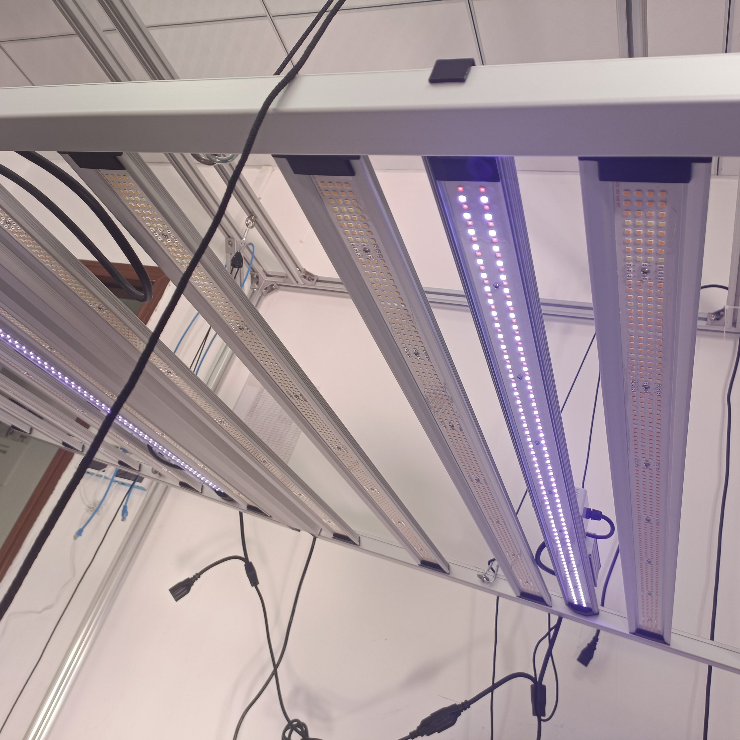 LED Light View