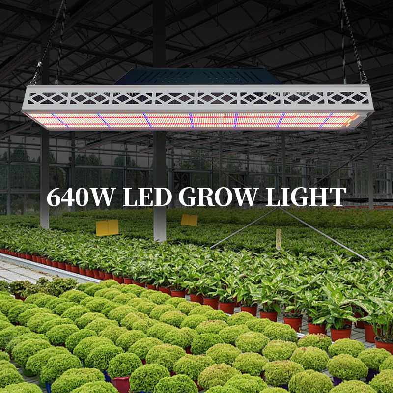 LED Light View
