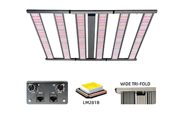 Key Factors to Consider When Choosing LED Grow Lights (2)
