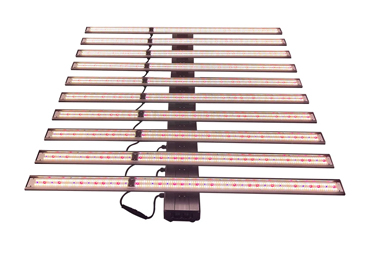 LED Grow Light