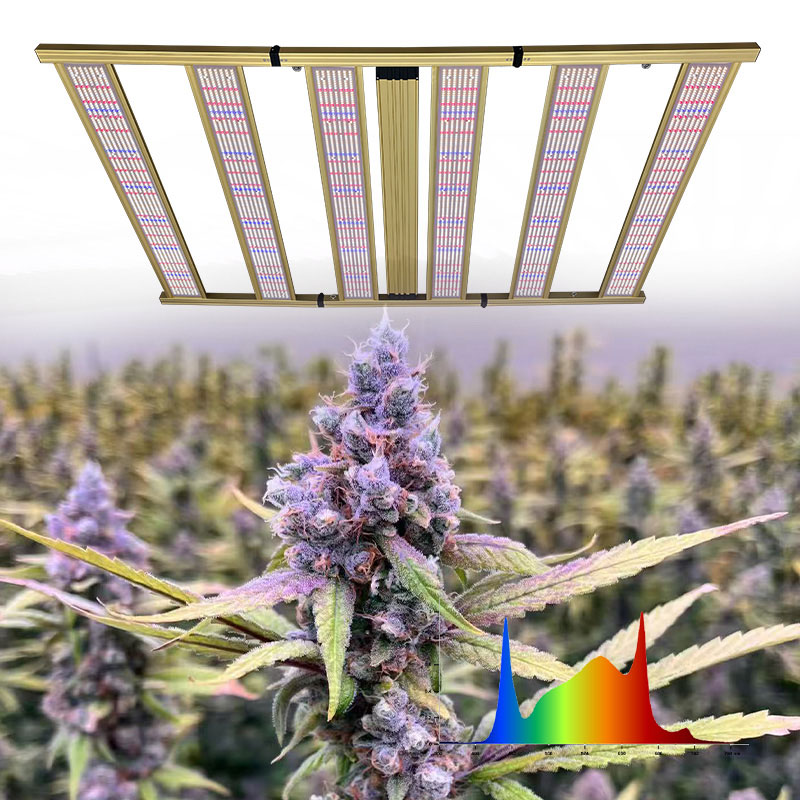 LED Light View