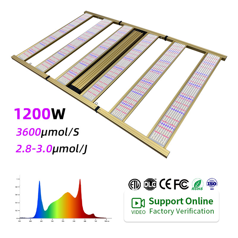 LED Light View