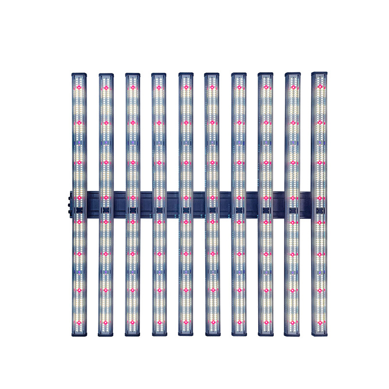ZHUTU-6-