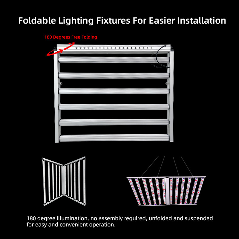 LED Light View