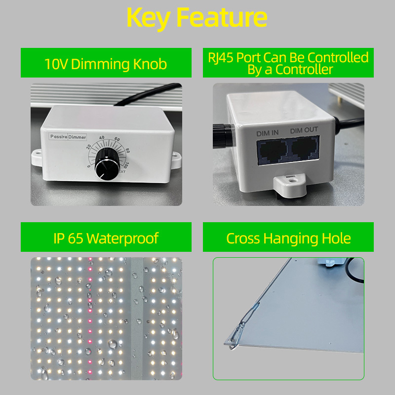 LED Light View