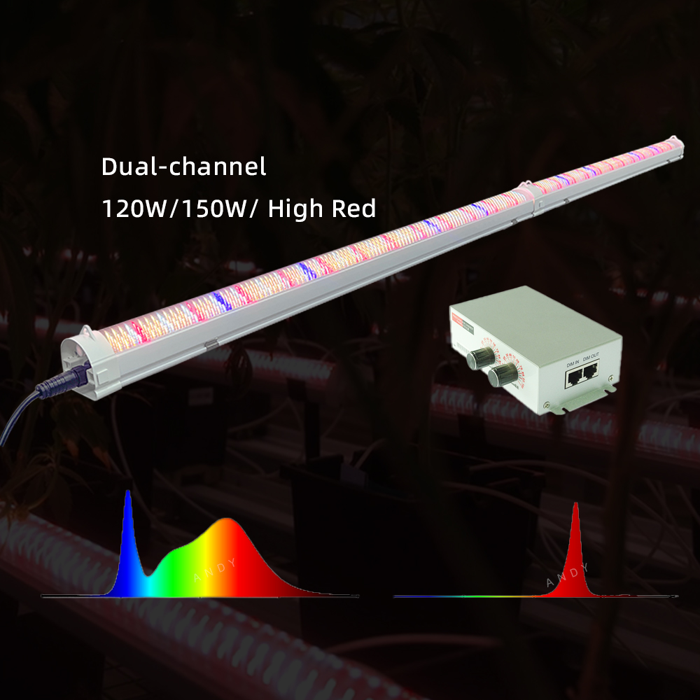 LED Light View