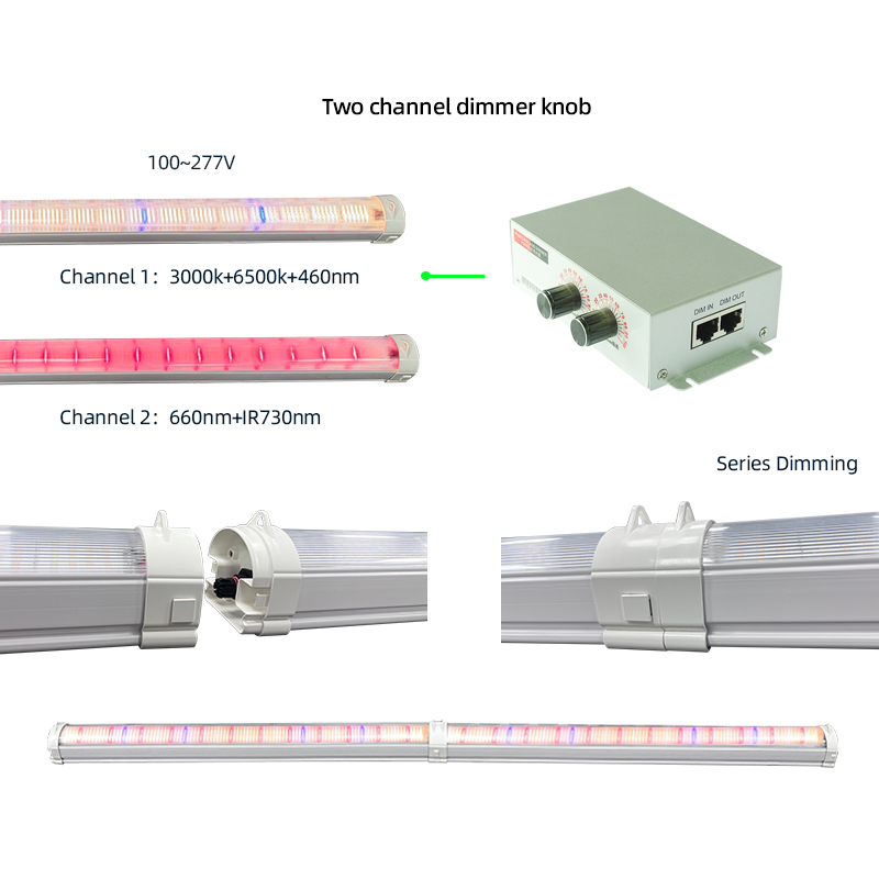 LED Light View