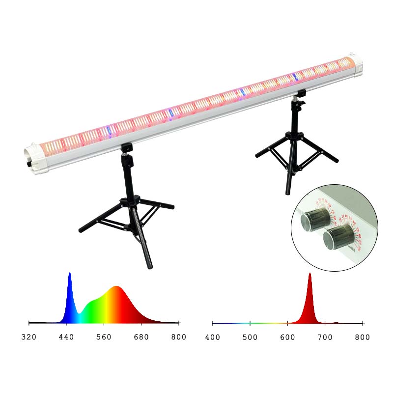LED Light View