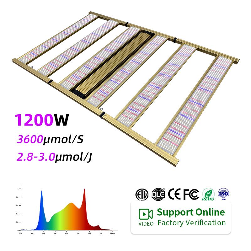 LED Light View