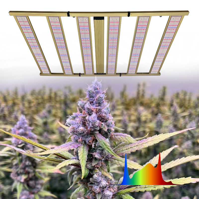 LED Light View