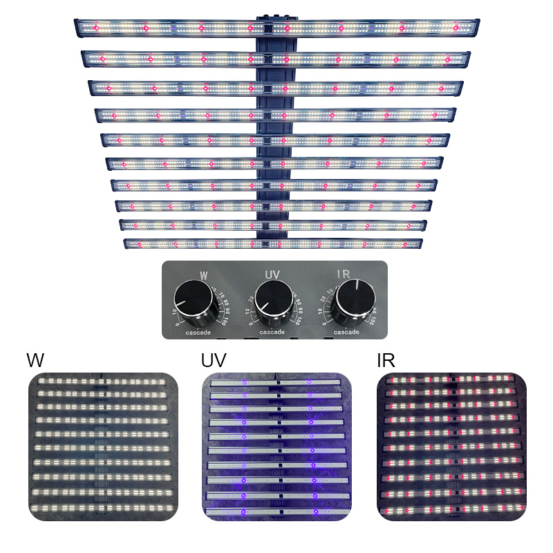 LED Light View