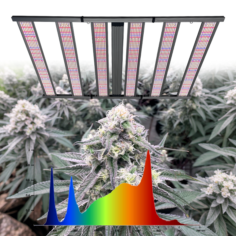 LED Light View