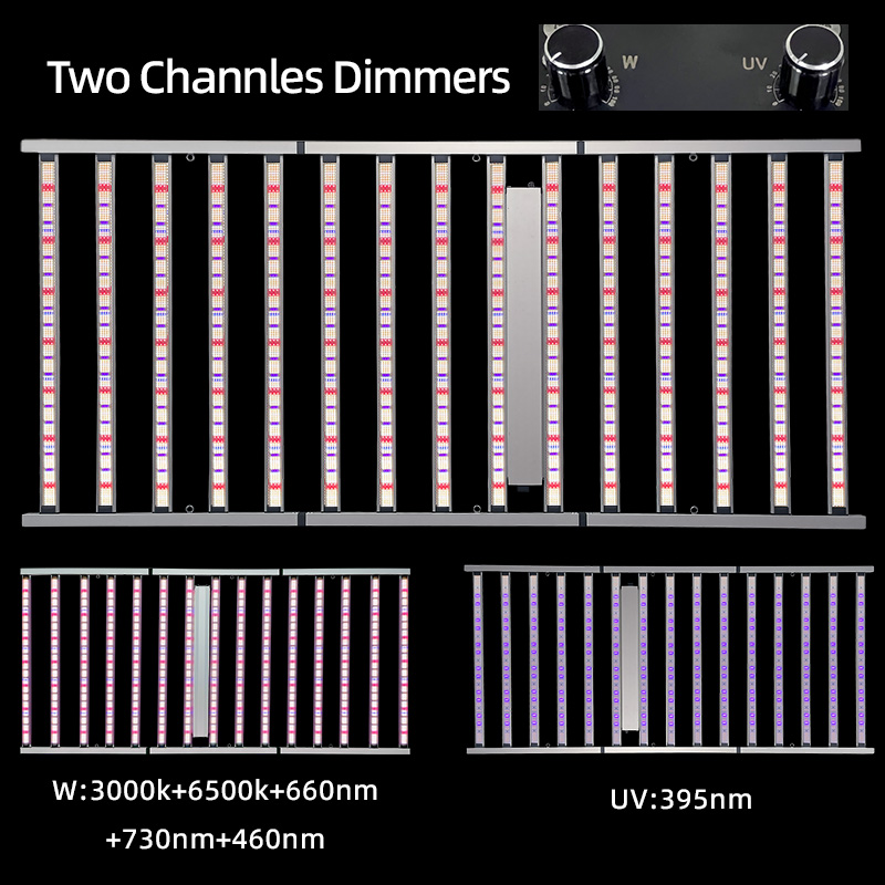 LED Light View