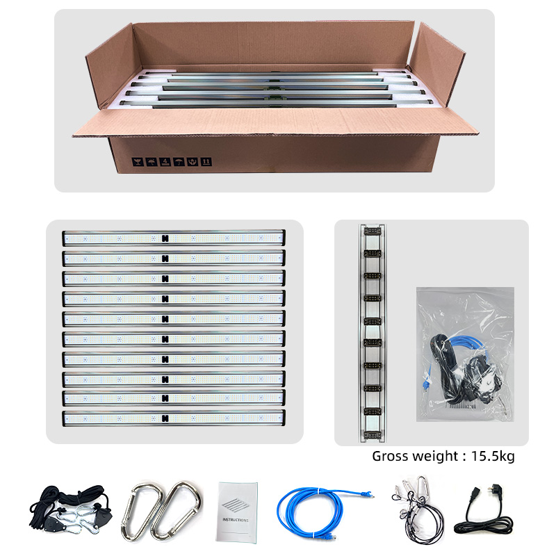 LED Light View