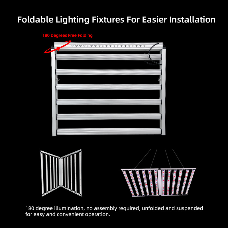 LED Light View