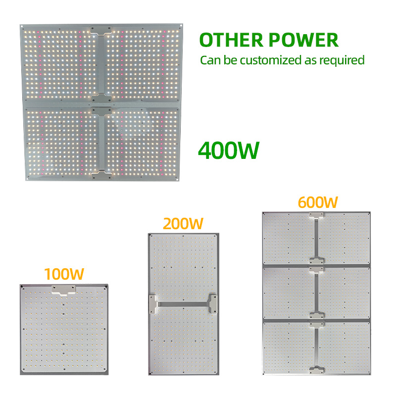 LED Light View