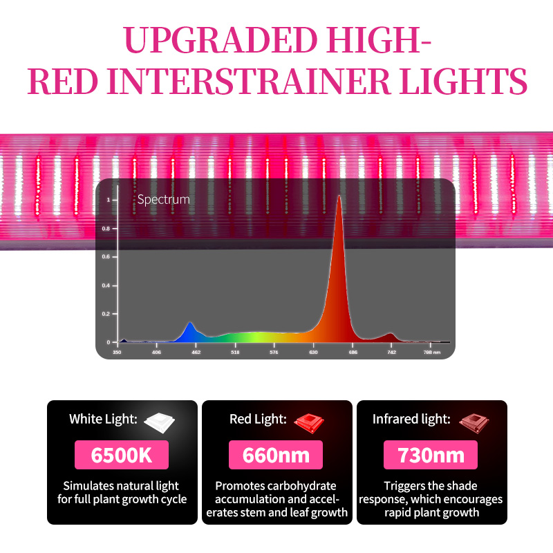 LED Light View