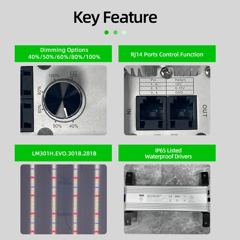 720W 4x4ft LED Grow Light-AD6-720W-2D292-110 3