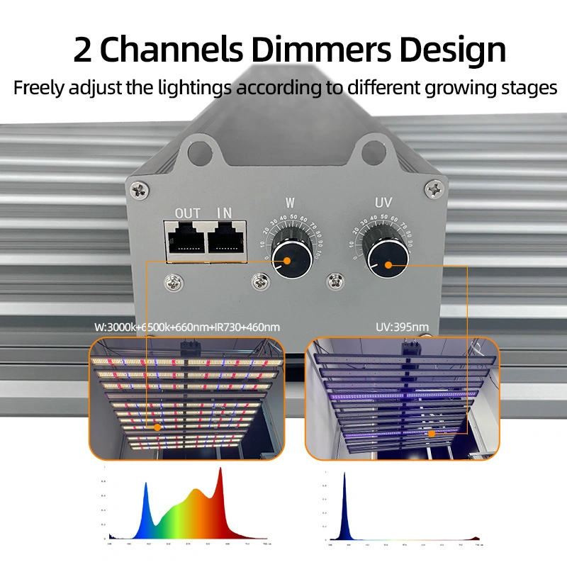 1060W+UV 4x4ft LED Grow Lights-AD122-1060W-D9(D10)-110 2